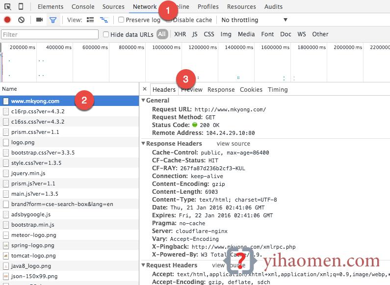 How to view HTTP headers in Google Chrome?