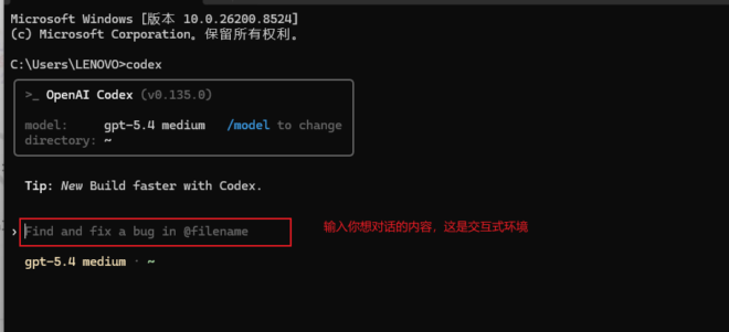 codex 命令行模式下的一些基础命令