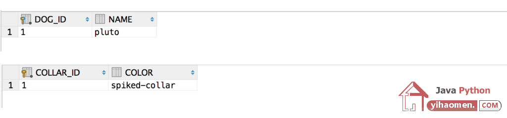 Hibernate One to One Unidirectional Shared Primary Key